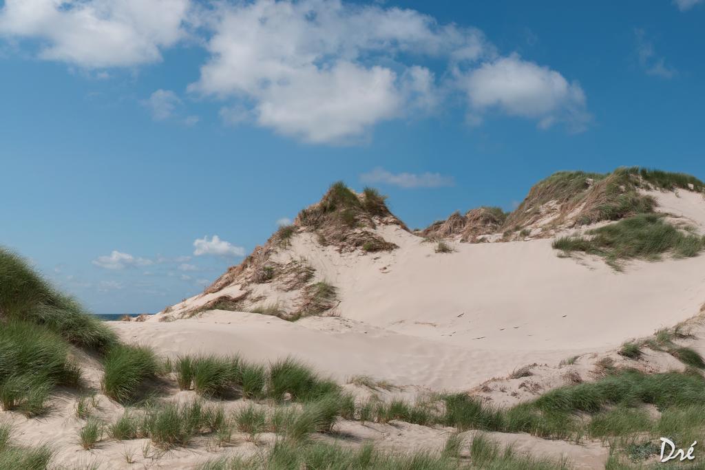 Strandhotel De Vassy Egmond aan Zee Extérieur photo
